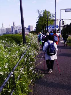 20170427104442.jpg