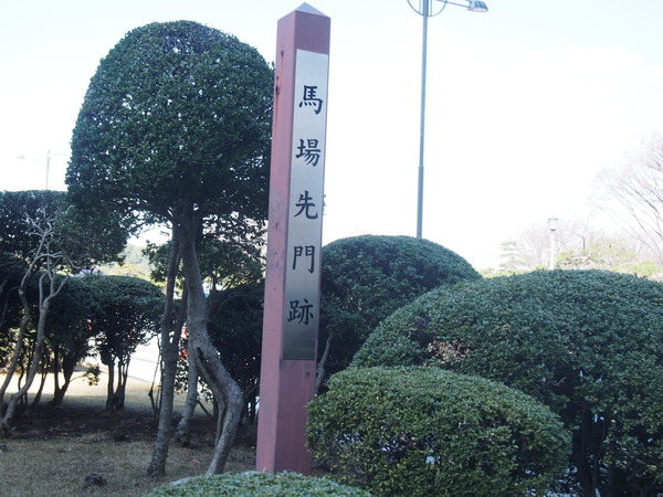 20180304222042.JPG