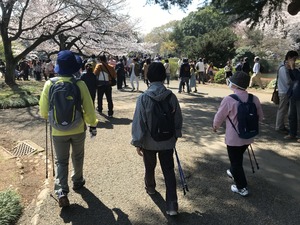 20180326183149.JPGのサムネイル画像のサムネイル画像