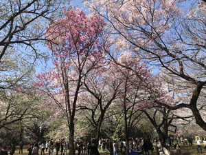 20180326183222.JPGのサムネイル画像のサムネイル画像