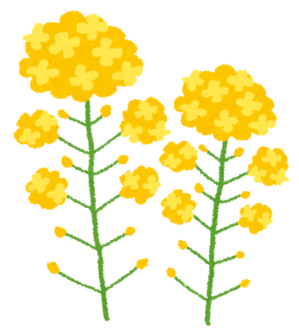 20210309185952.pngのサムネイル画像