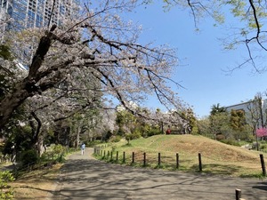 20210329124644.jpgのサムネイル画像