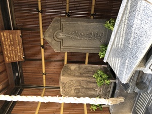 20211211090031.JPGのサムネイル画像