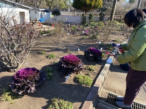 20220126174736.jpgのサムネイル画像