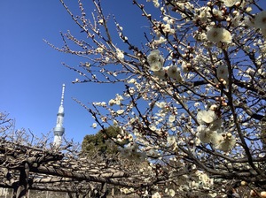 20220226235539.jpgのサムネイル画像