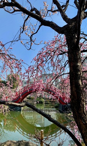 20220228185707.jpgのサムネイル画像