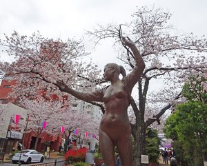 播磨坂２.jpg