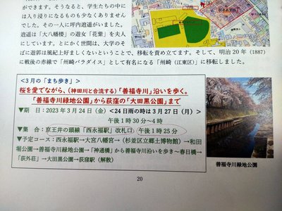 DSC_1000.JPG