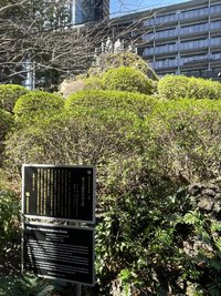 1773044404364.jpgのサムネイル画像